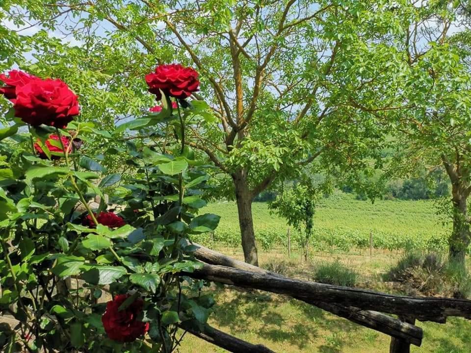 Cascina Valtignosa Camere Con Vigna Cassine Екстер'єр фото