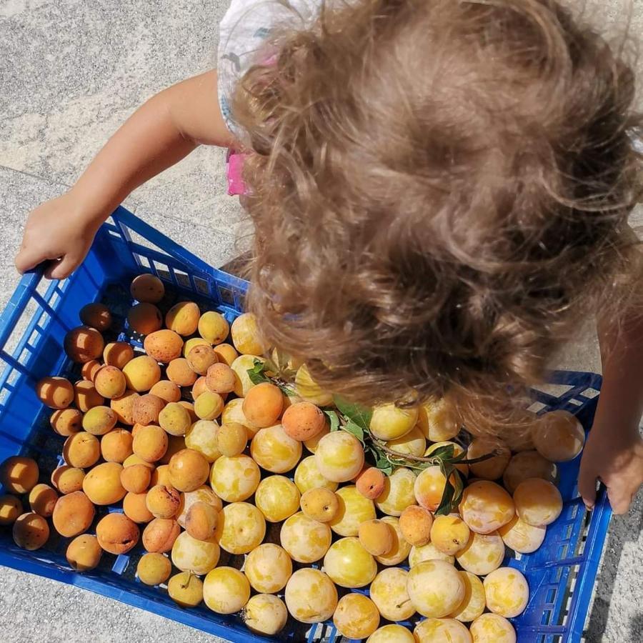 Cascina Valtignosa Camere Con Vigna Cassine Екстер'єр фото