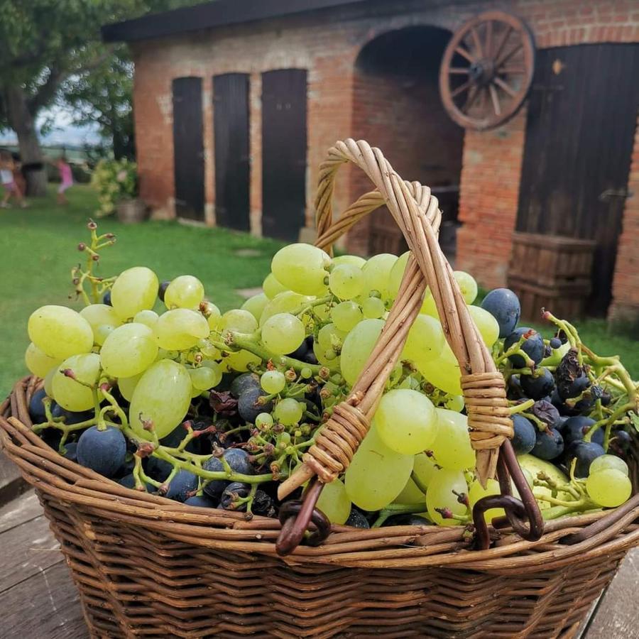 Cascina Valtignosa Camere Con Vigna Cassine Екстер'єр фото