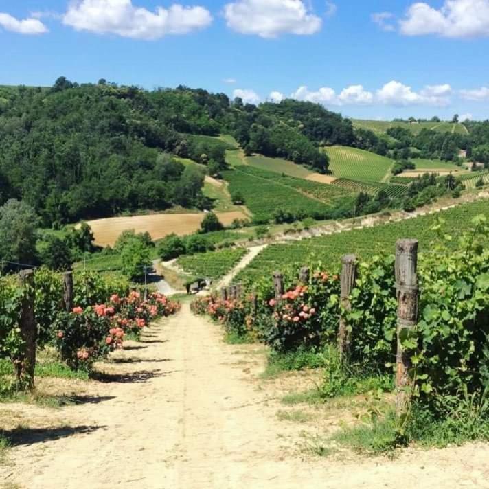 Cascina Valtignosa Camere Con Vigna Cassine Екстер'єр фото