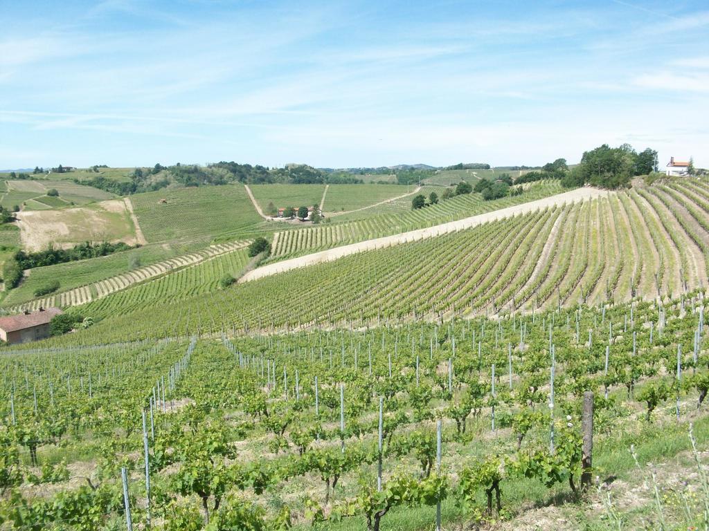 Cascina Valtignosa Camere Con Vigna Cassine Екстер'єр фото