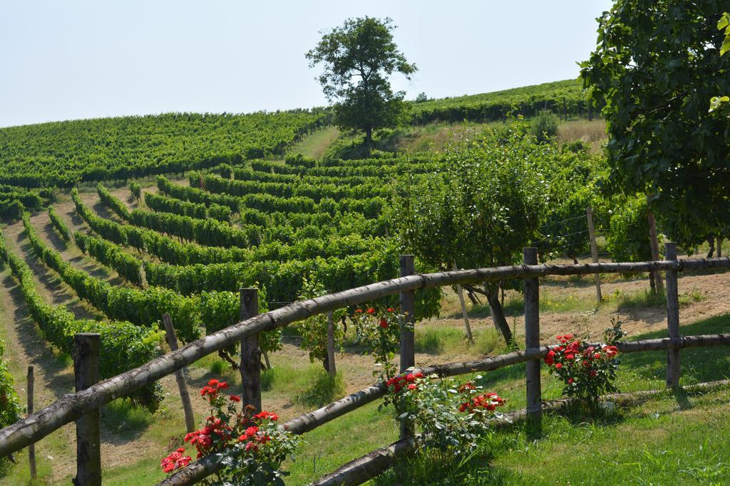 Cascina Valtignosa Camere Con Vigna Cassine Екстер'єр фото