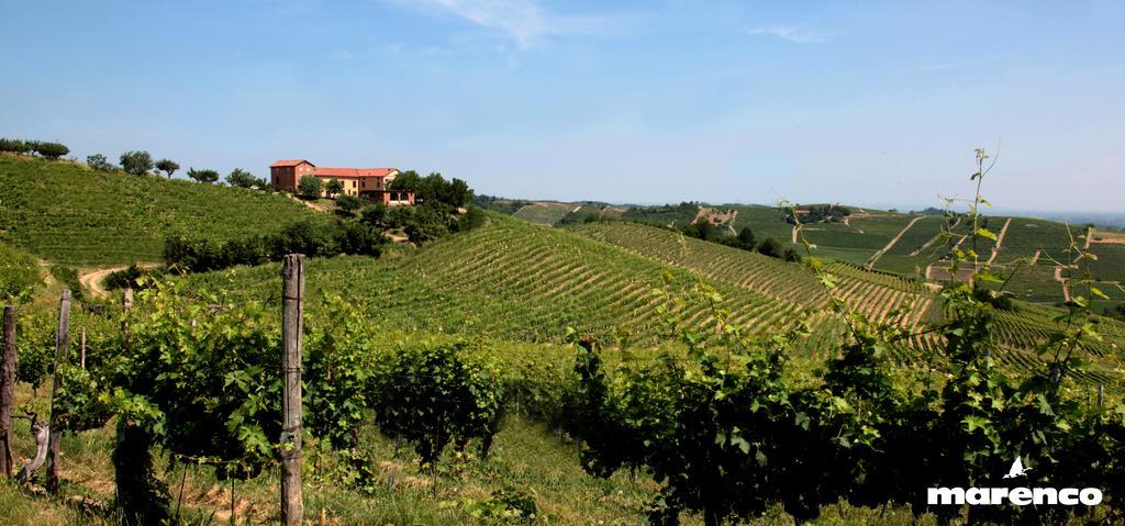Cascina Valtignosa Camere Con Vigna Cassine Екстер'єр фото