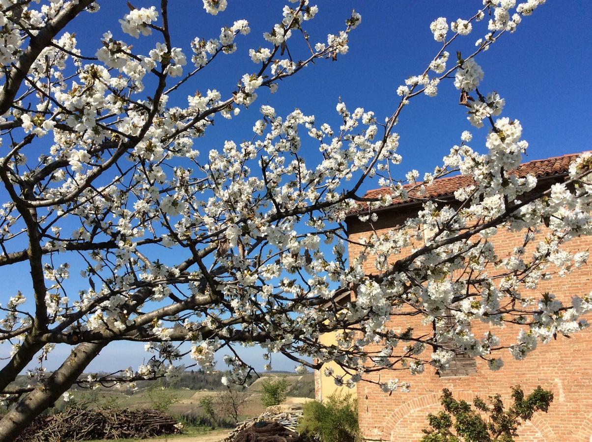 Cascina Valtignosa Camere Con Vigna Cassine Екстер'єр фото